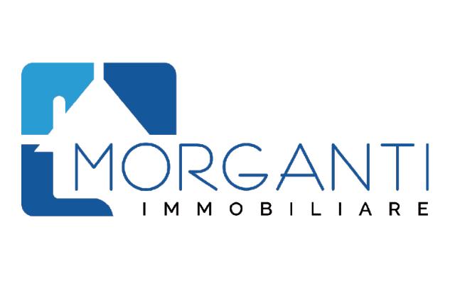 Immobiliare Morganti